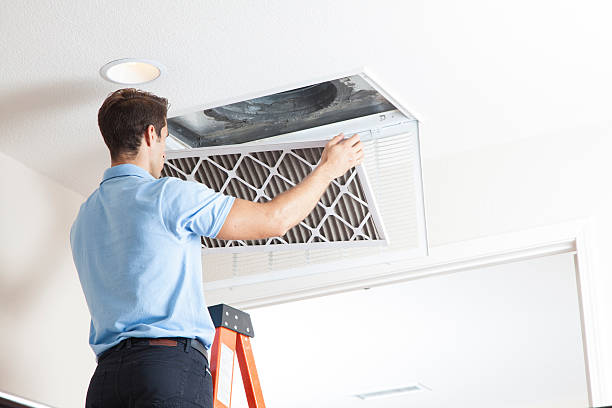 Best Ductless Mini-Split Systems in Larimore, ND